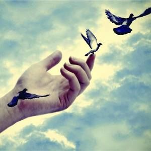 Meet your Posher, Lucy